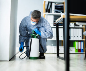 an exterminator spraying an office for pests