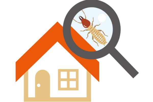 Illustration showing a house with a red roof beside a magnifying glass highlighting a termite, representing home termite inspection.