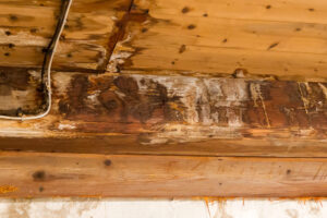 Water damaged ceiling and wall