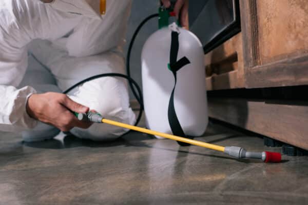 A person wearing protective gear uses a handheld sprayer to apply pesticide beneath a wooden cabinet, targeting indoor pests.