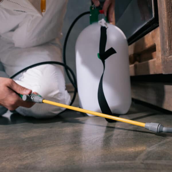 A person wearing protective gear uses a handheld sprayer to apply pesticide beneath a wooden cabinet, targeting indoor pests.