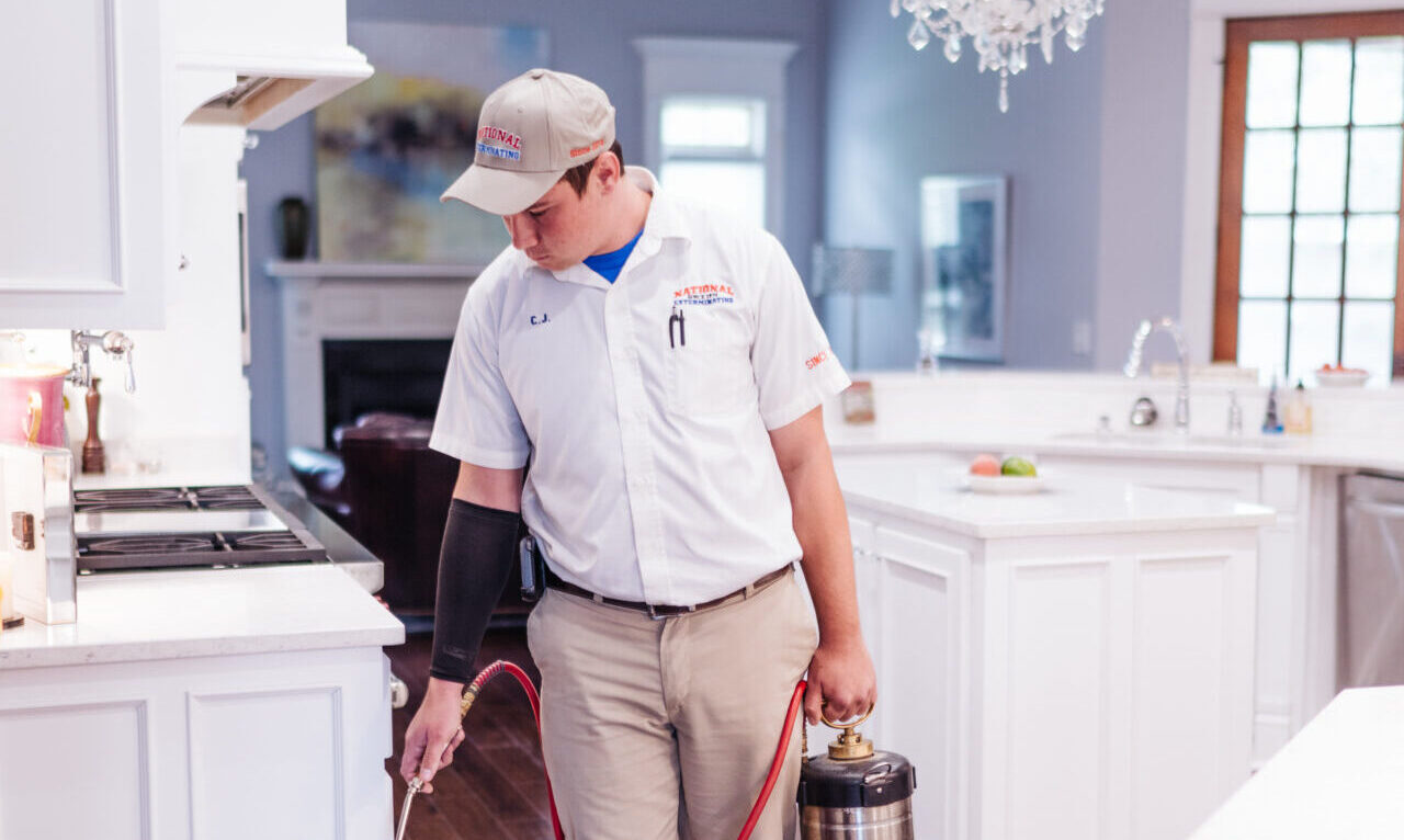 man spraying for pests in an upscale kitchen