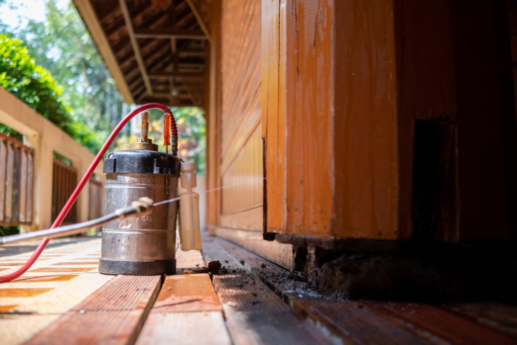 man chose to use exterminate chemicals Termites that are not toxic to humans are mixed with water in a tank for spraying Exterminate termites allow young men to spray termites themselves by himself