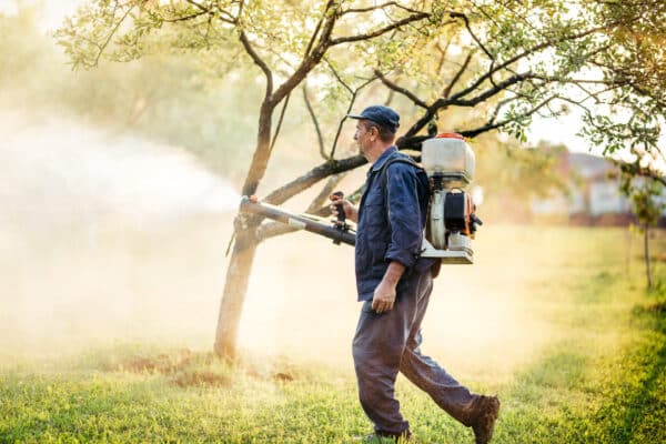 A person in work clothes and a cap uses a backpack sprayer to treat fruit trees in an orchard or garden during daylight.