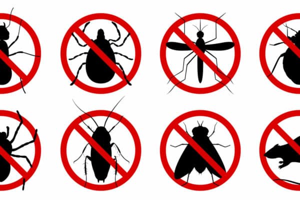 Silhouettes of an ant, tick, mosquito, bedbug, termite, cockroach, fly, and rat behind red prohibition signs for pest control.