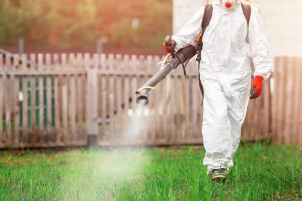 A person in a white protective suit, gloves, and mask sprays chemicals on yard grass with a wooden fence in the background.