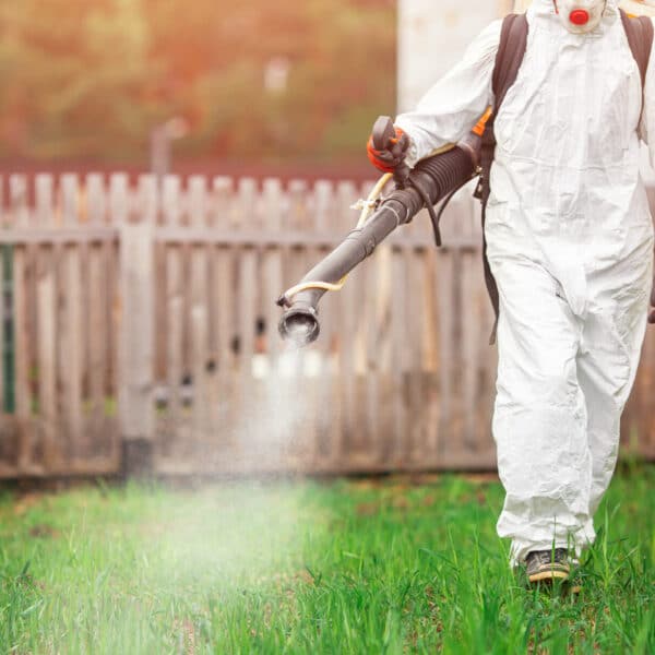 A person in a white protective suit, gloves, and mask sprays chemicals on yard grass with a wooden fence in the background.