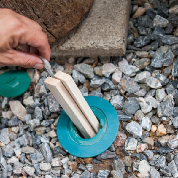 A hand opens a green plastic cap on a termite bait station set in gravel, exposing wooden monitoring stakes inside.