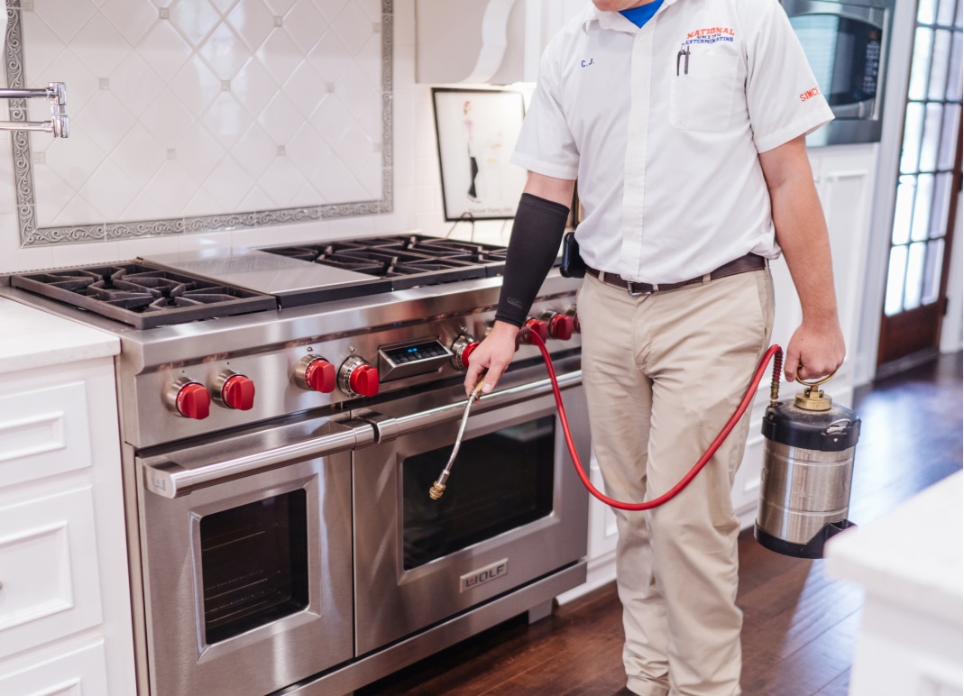 A pest control technician in uniform sprays near a stainless steel stove in a modern kitchen, holding a sprayer canister with a red hose.