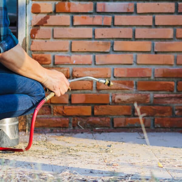 A person kneels, using a spray wand to apply liquid at the base of a brick wall, wearing jeans and a plaid shirt.