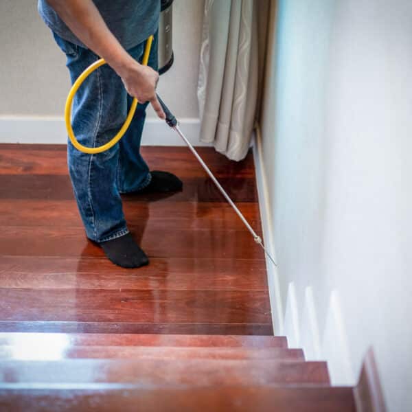 A person in jeans and black socks uses a sprayer with a yellow hose at the base of a wall by wooden stairs, likely for pest control.